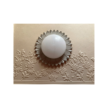 Ceiling light