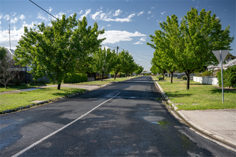 A residential street in Horsham North with trees and green nature strips