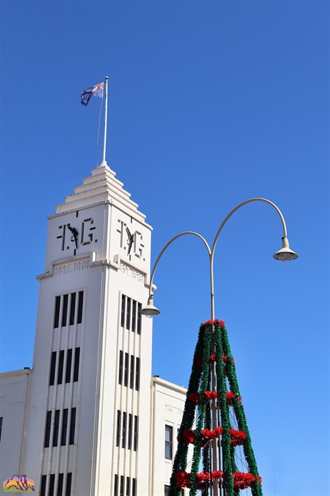 03122020 - T And G Building With Christmas Tree 3 - By Ayesha Sedgman - Web File.jpg