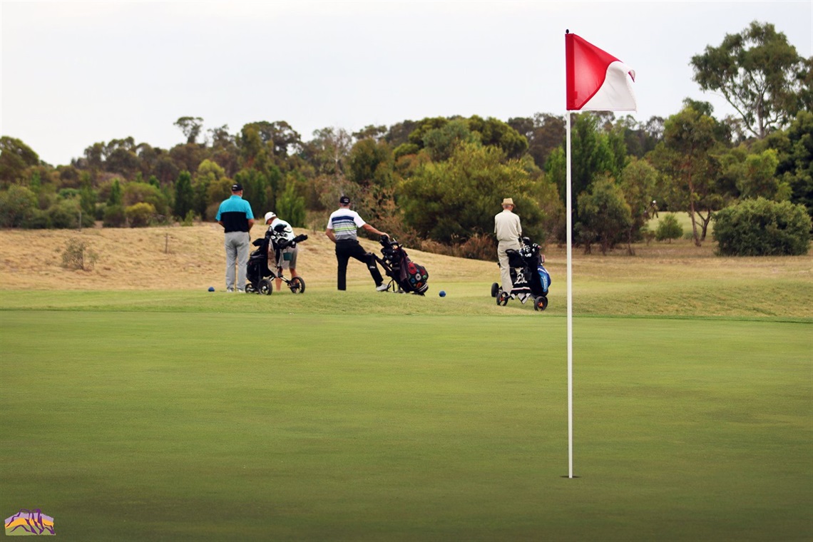 16122020 - Horsham Golf Course - By Ayesha Sedgman - Web File.jpg