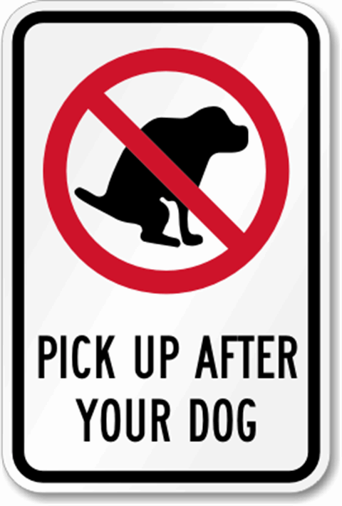 Pick up after your dog.gif