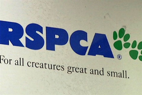 RSCPA.jpg