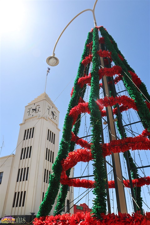 03122020 - Christmas Tree on Firebrace Street 3 - By Ayesha Sedgman - Web File.jpg