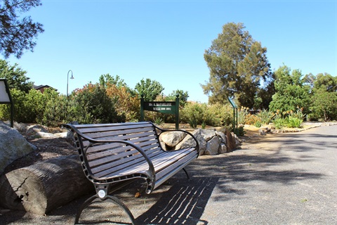 Bench Seat At Botanical Gardens 