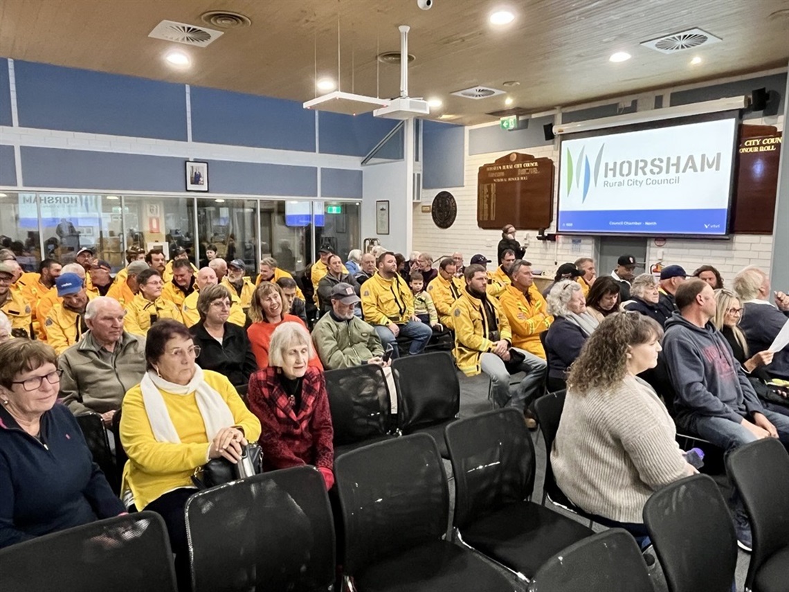 CFA members in the gallery May 26 Council meeting.jpg