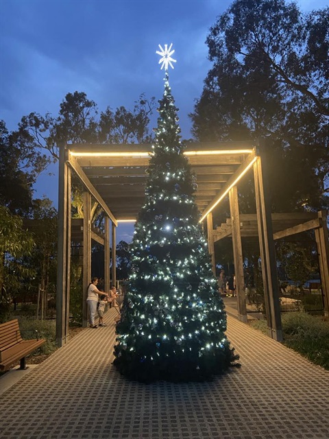 Christmas tree at riverfront Meeting Place