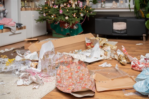 Christmas waste cleanup.jpeg