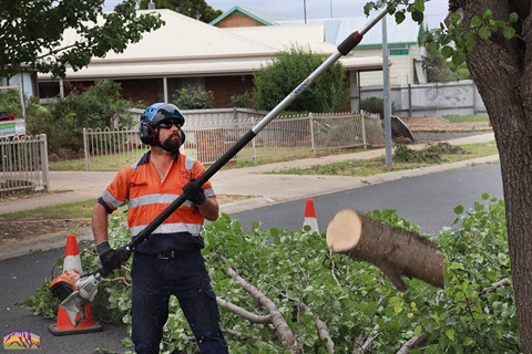 Clean Up Works - By Ayesha Sedgman 