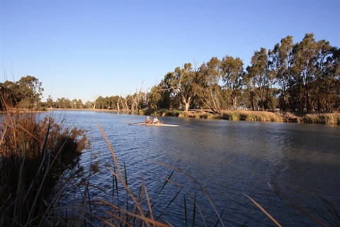 The Wimmera River with a row boat