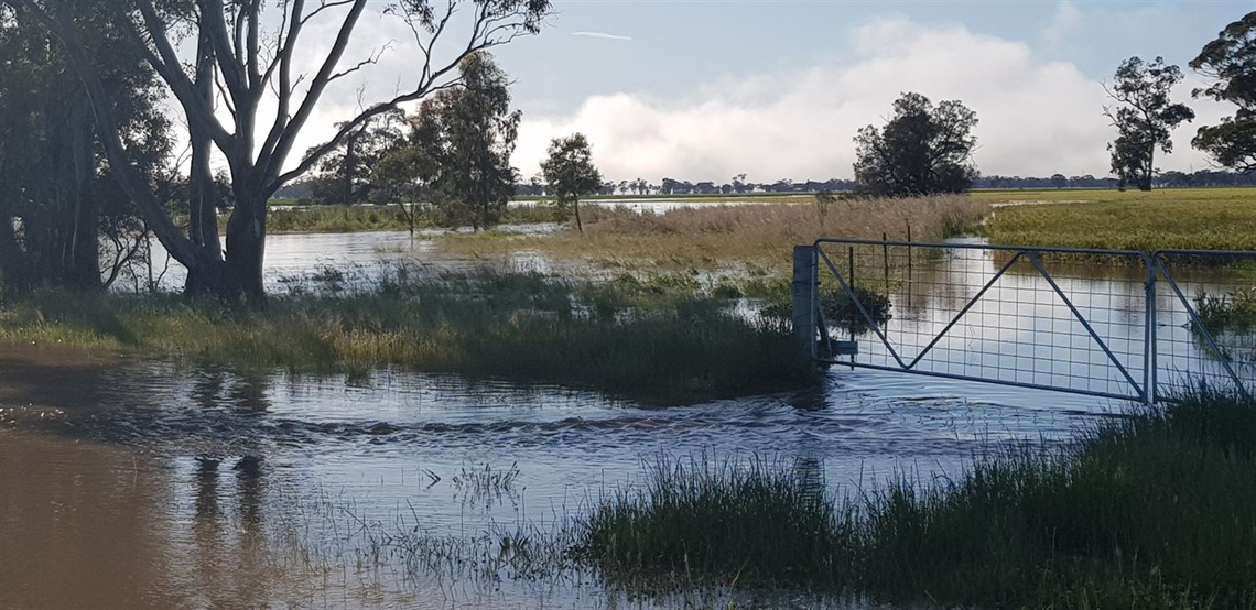 Flood farmland.jpg