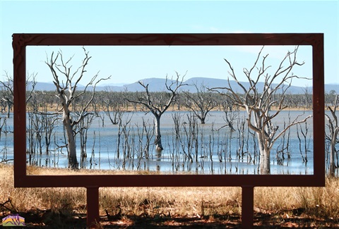Framing The Wimmera At Lake Toolondo 