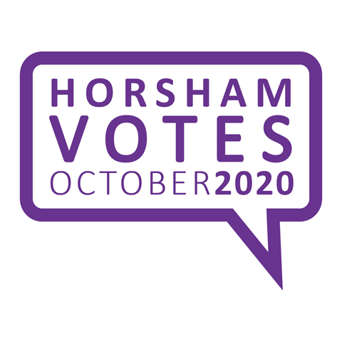 Horsham_votes_2020_Square4.png