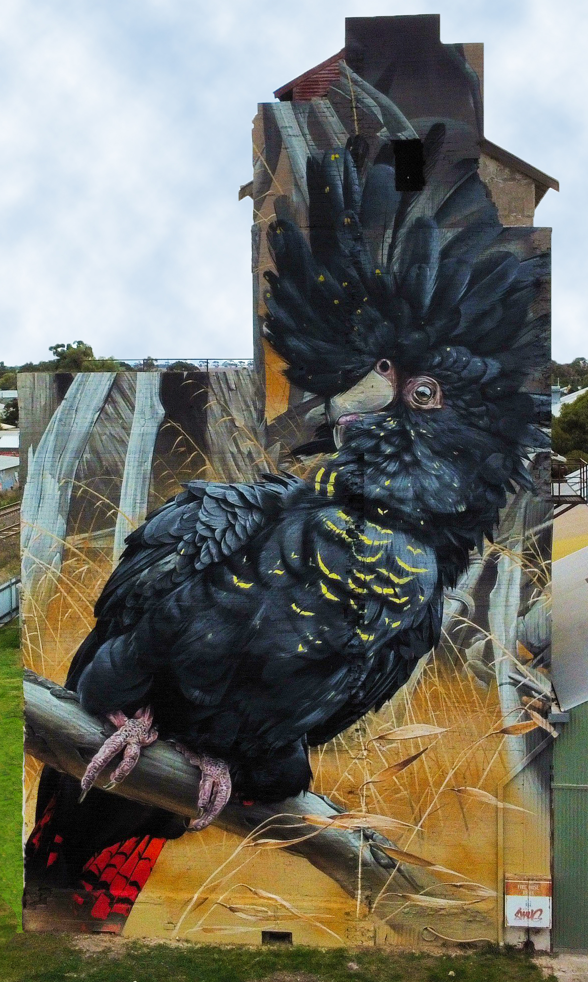 Silo art black cockatoo on flour mill.jpg