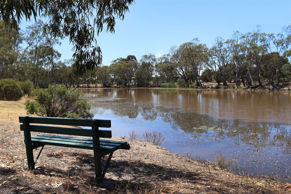 30112020 - Wimmera River 3 - By Ayesha Sedgman - Print File.jpg