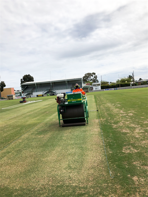 David Gove rolling cricket pitch.png