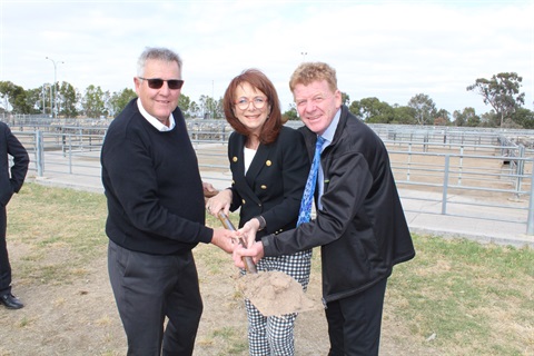 HRLE-sod-turning-spade-full-of-dirt.jpg