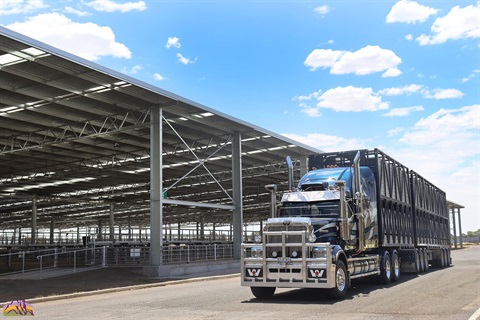 Truck At Horsham Regional Livestock Exchange