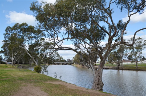 Wimmera River.JPG