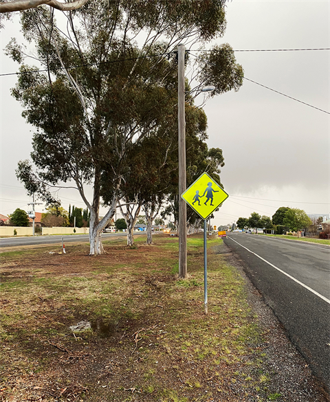 Natimuk Rd trees.png