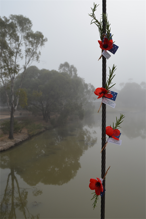 The rememberance cable web.png