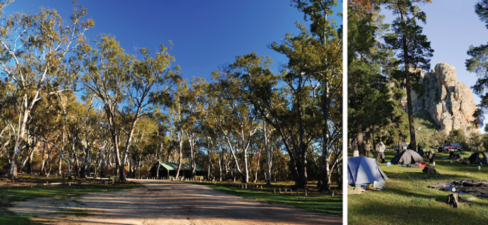 Composite image of campground and Mt Arapiles park entrance