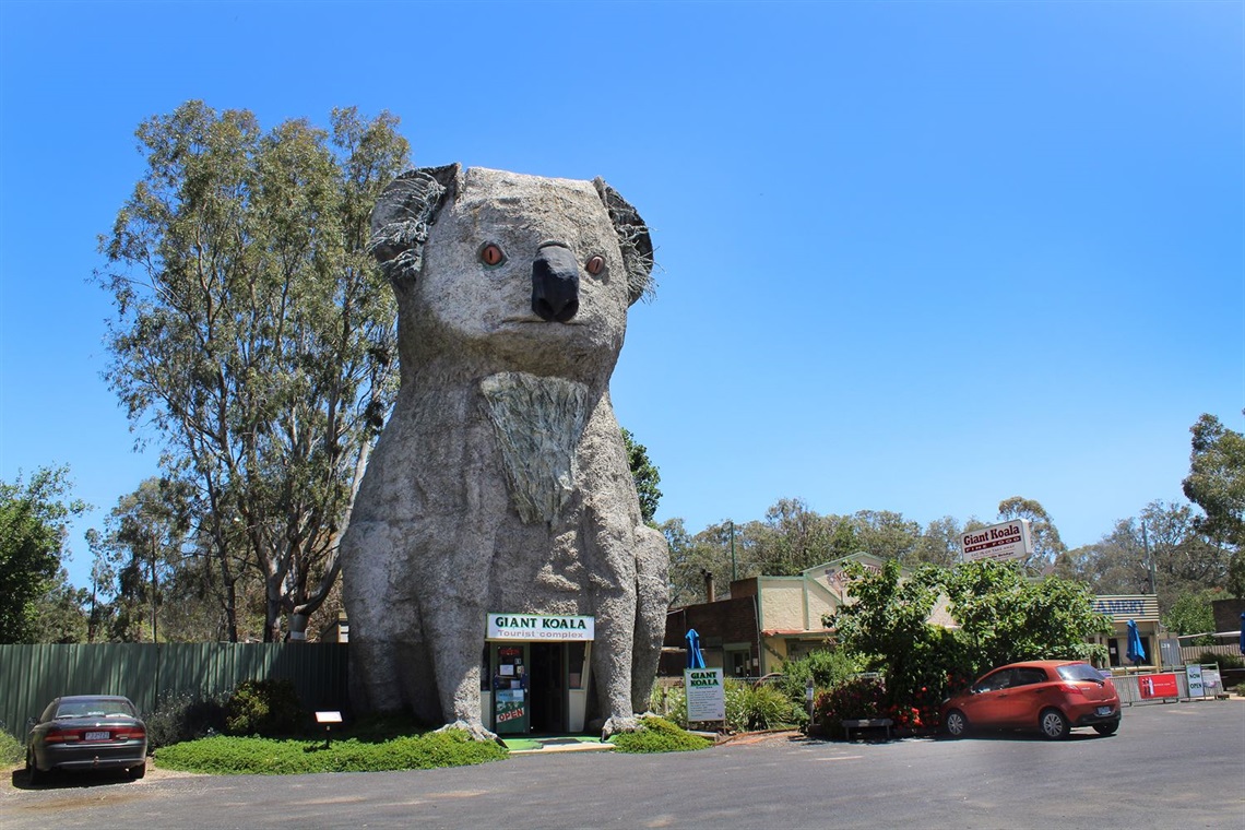 The Big Koala
