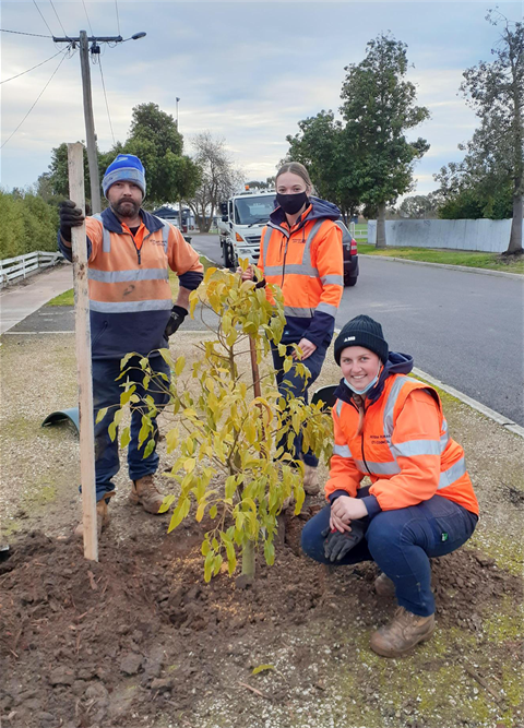 Tree planting Rob Larsen, Millie Spence and Montana Petering.png