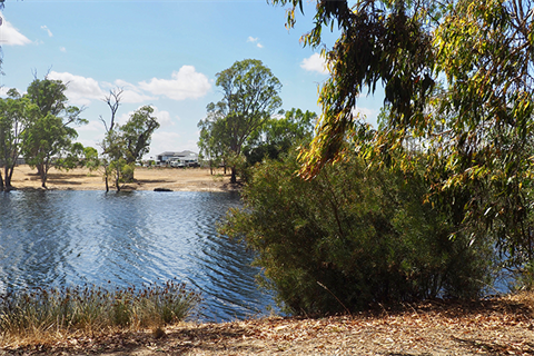 Wimmera River at Hamilton St.png