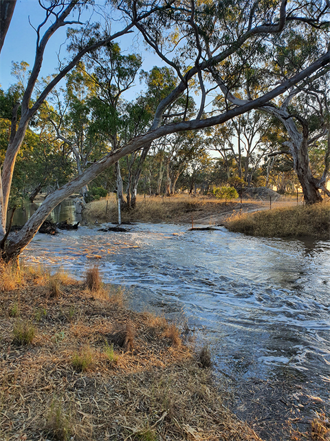 Wimmera River rising at St Helens Plains.png