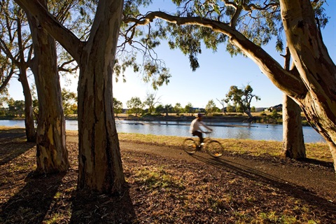 Wimmera River bike ride.jpg