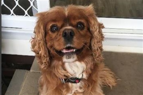 Buddy.JPG